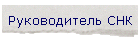 Руководитель СНК