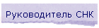 Руководитель СНК